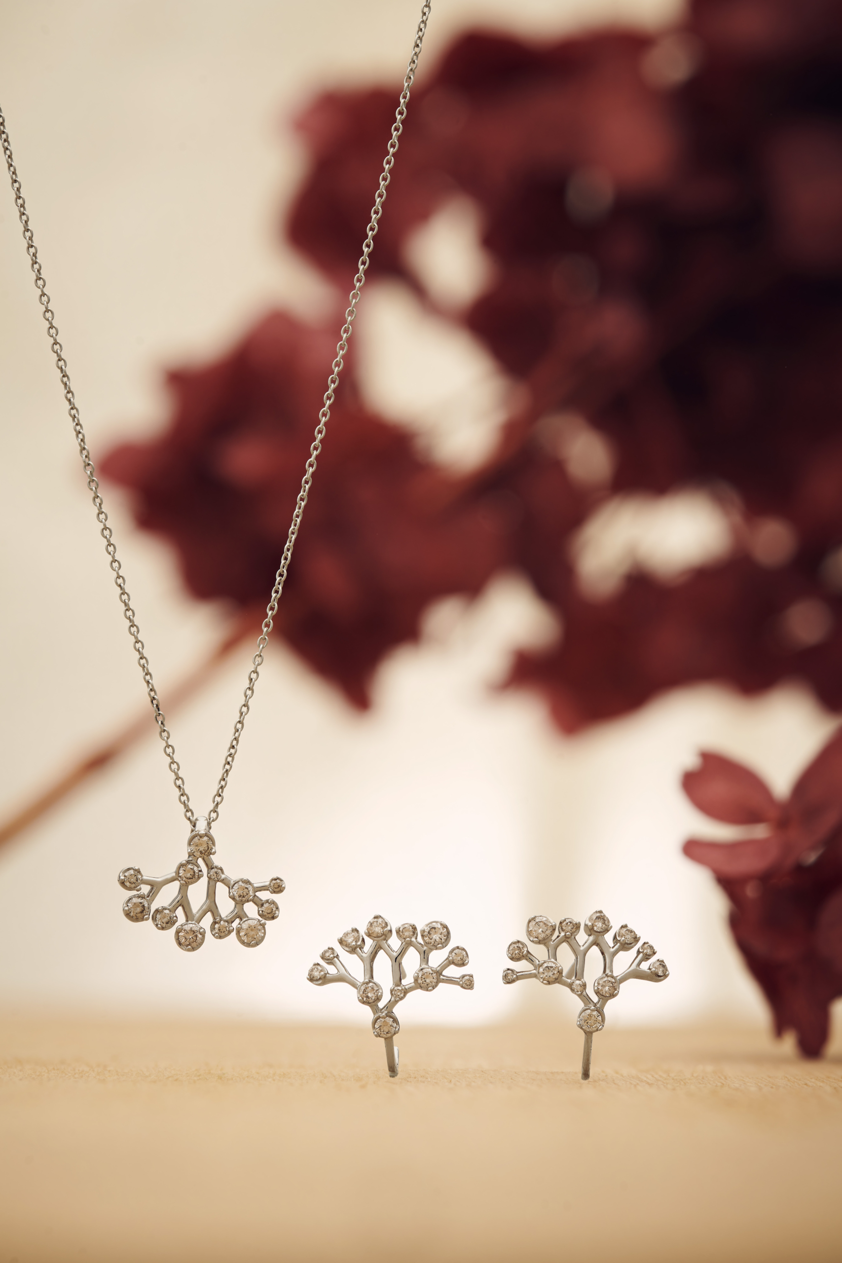 Autumn_Collection_1