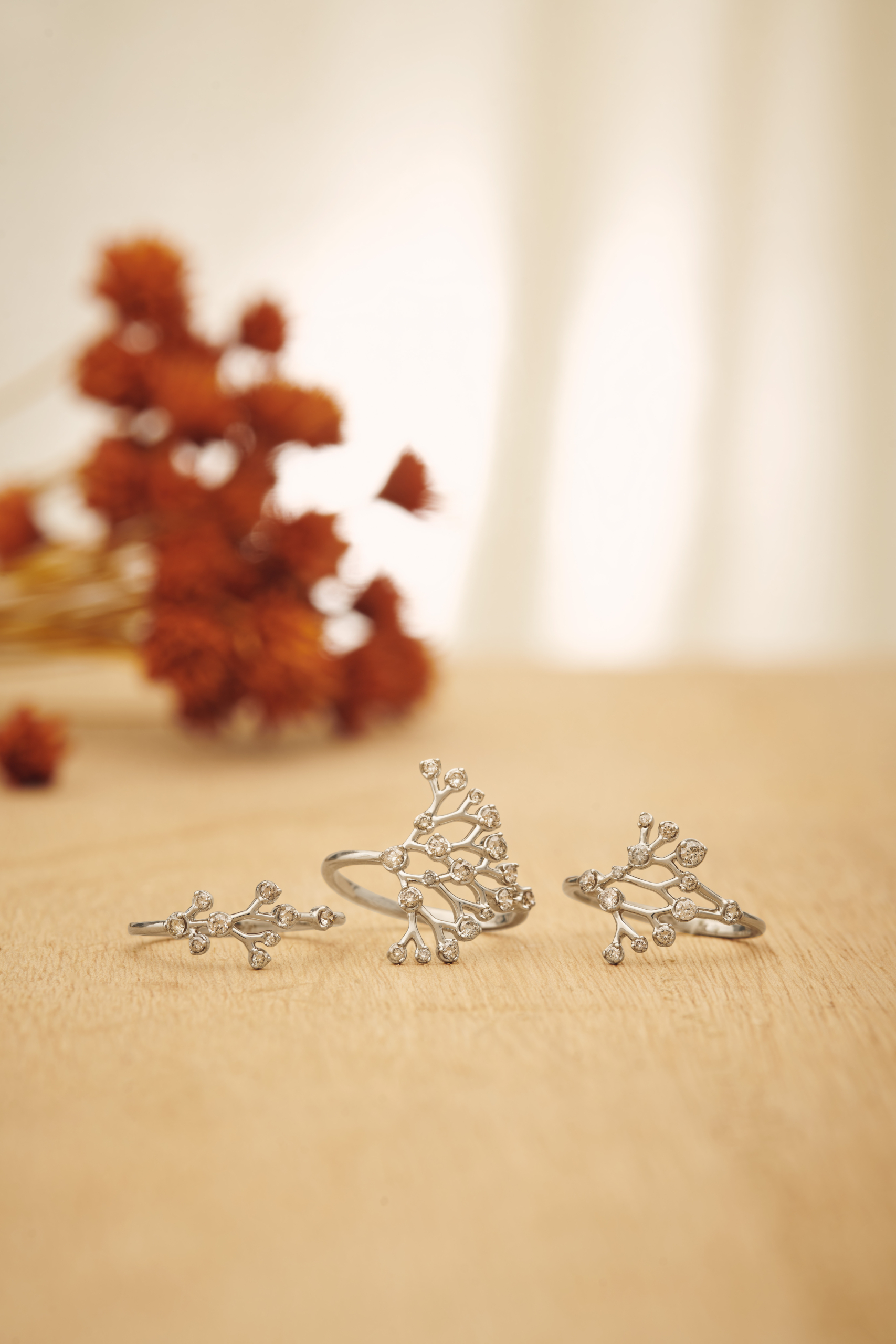 Autumn_Collection_2